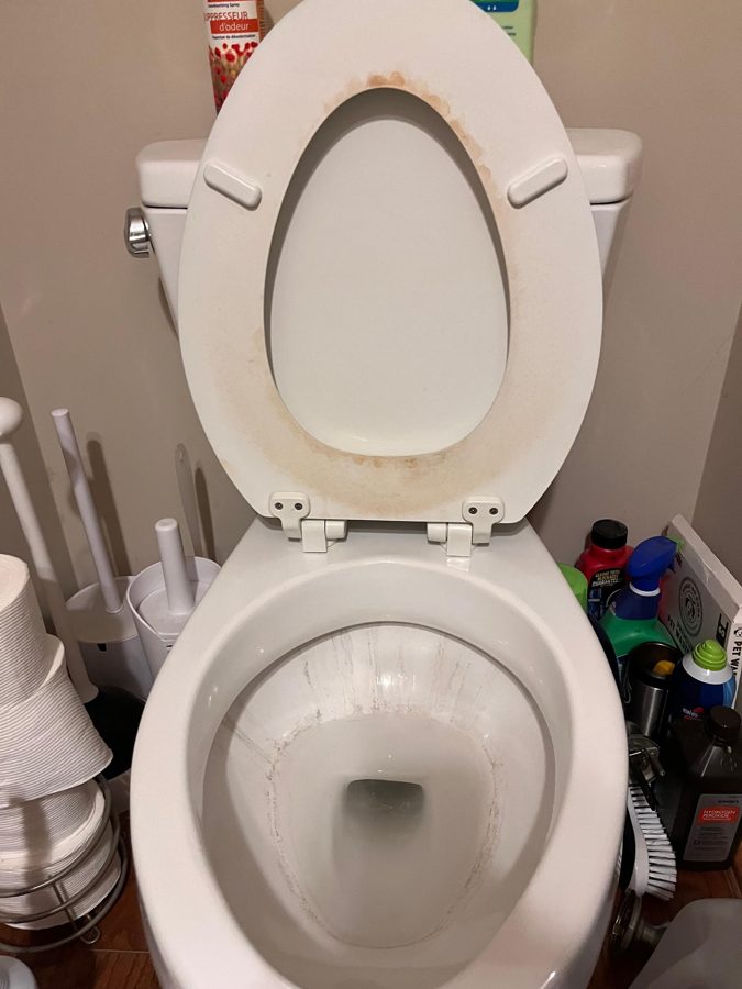 Toilet before cleaning