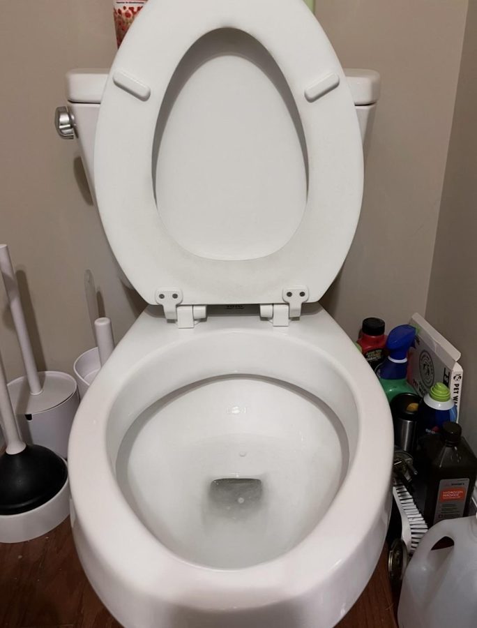 Toilet after cleaning